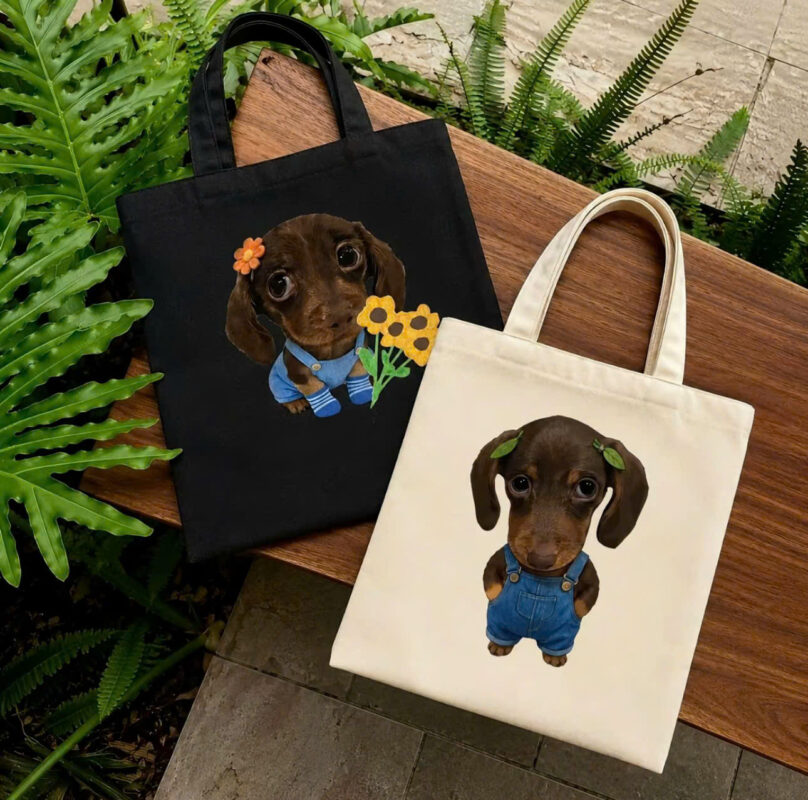 túi canvas in pet